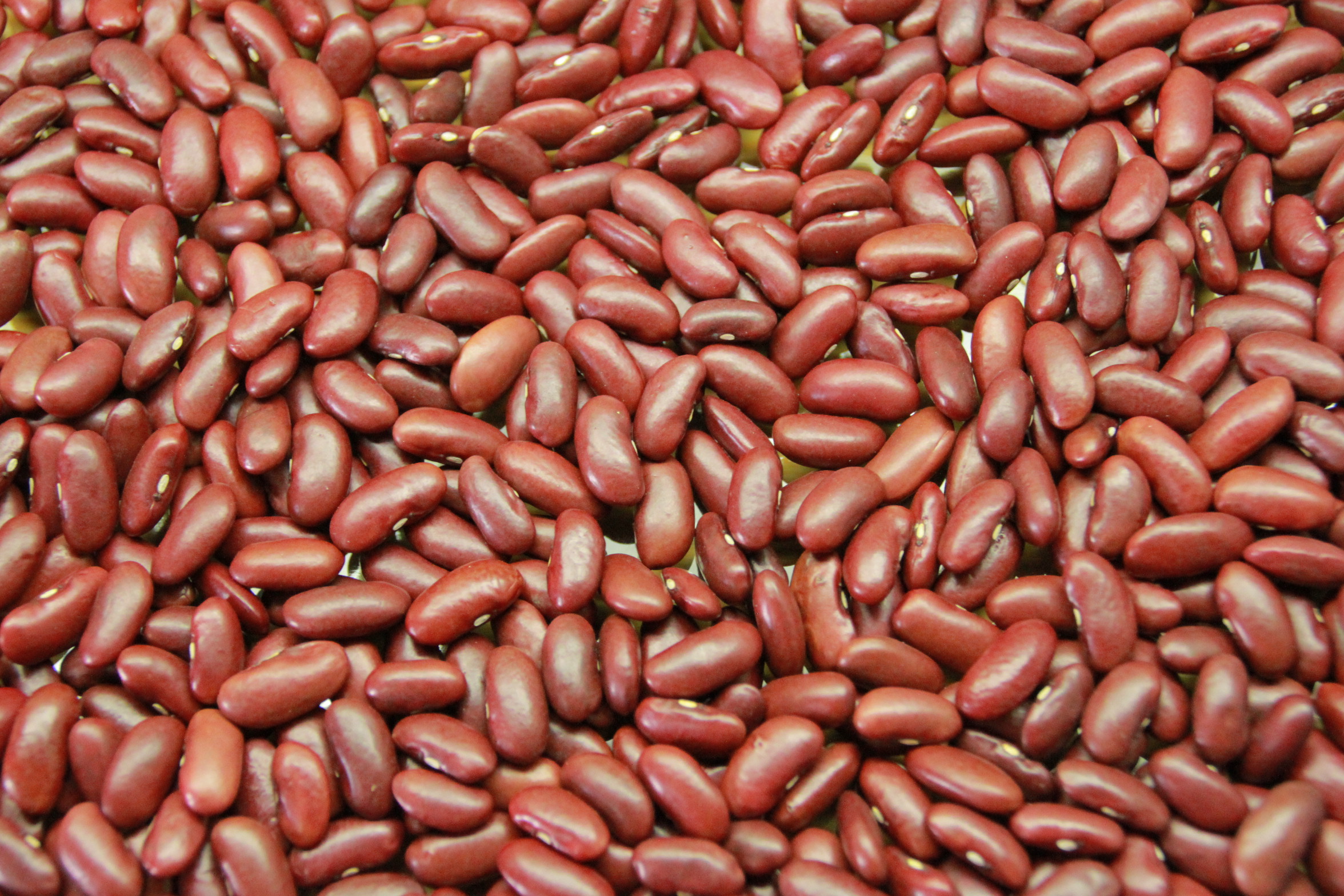 Red Cow Peas