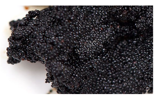 Vanilla Caviar